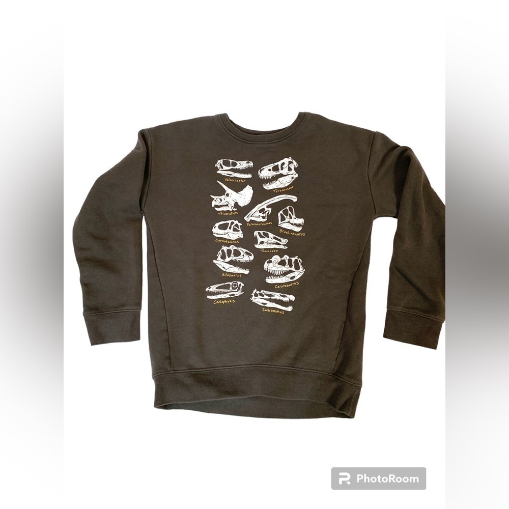 Boys Jumping Beans Softest Fleece Gray Dinosaur Fossil Sweatshirt Sz 10